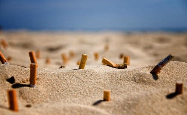 Las Consecuencias De Tirar Colillas A La Playa La Verdad